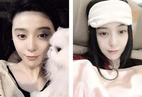 娱乐圈吃瓜素材背景图女,揭秘“吃瓜女孩”背后的故事