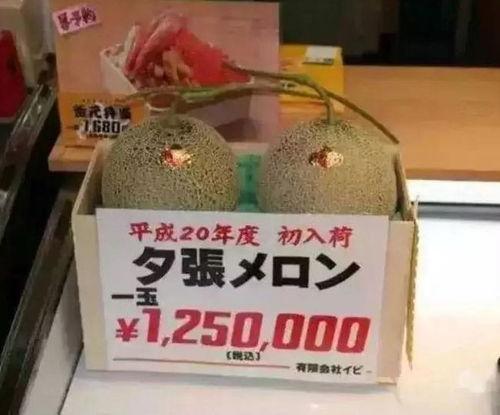 吃瓜娱乐铺,吃瓜娱乐铺带你探秘明星生活