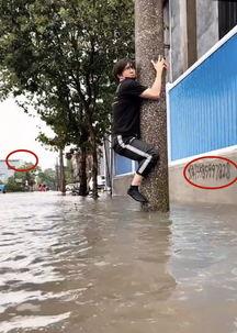 娱乐吃瓜酱电线杆