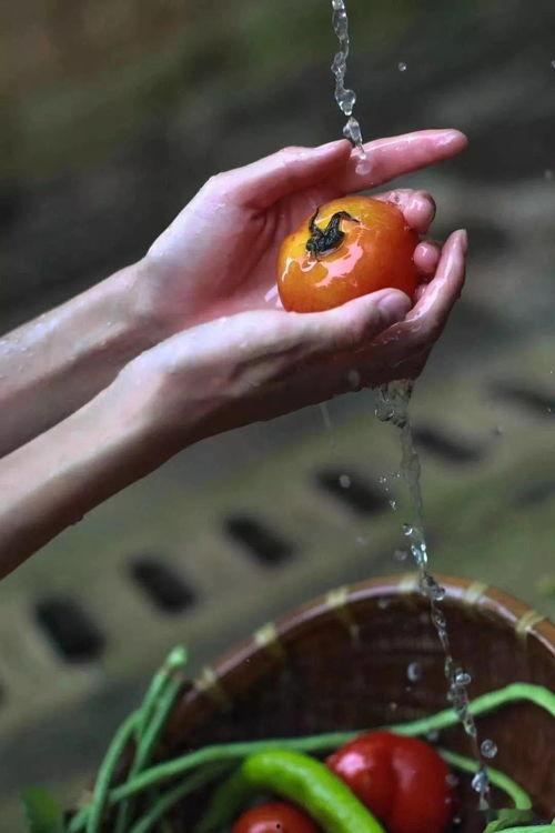 萤火虫娱乐吃瓜