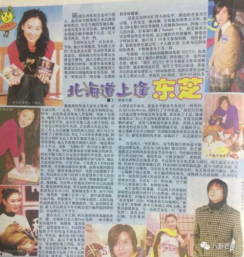 娱乐圈小说吃瓜